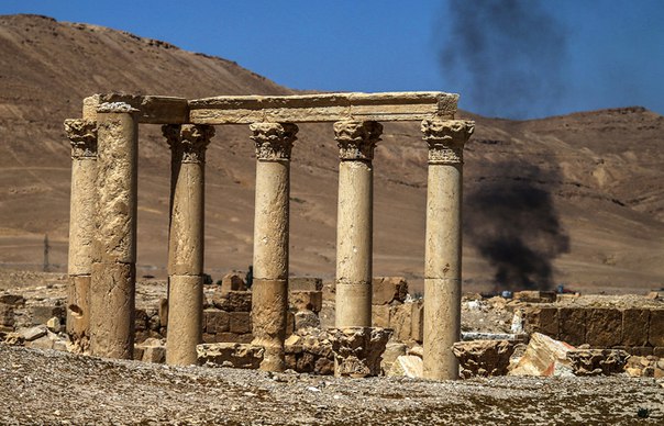 Вооруженные силы Сирии при поддержке ВКС завершили взятие Пальмиры 