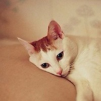 Владислав Сушко | 