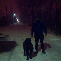 Артур Эрдман