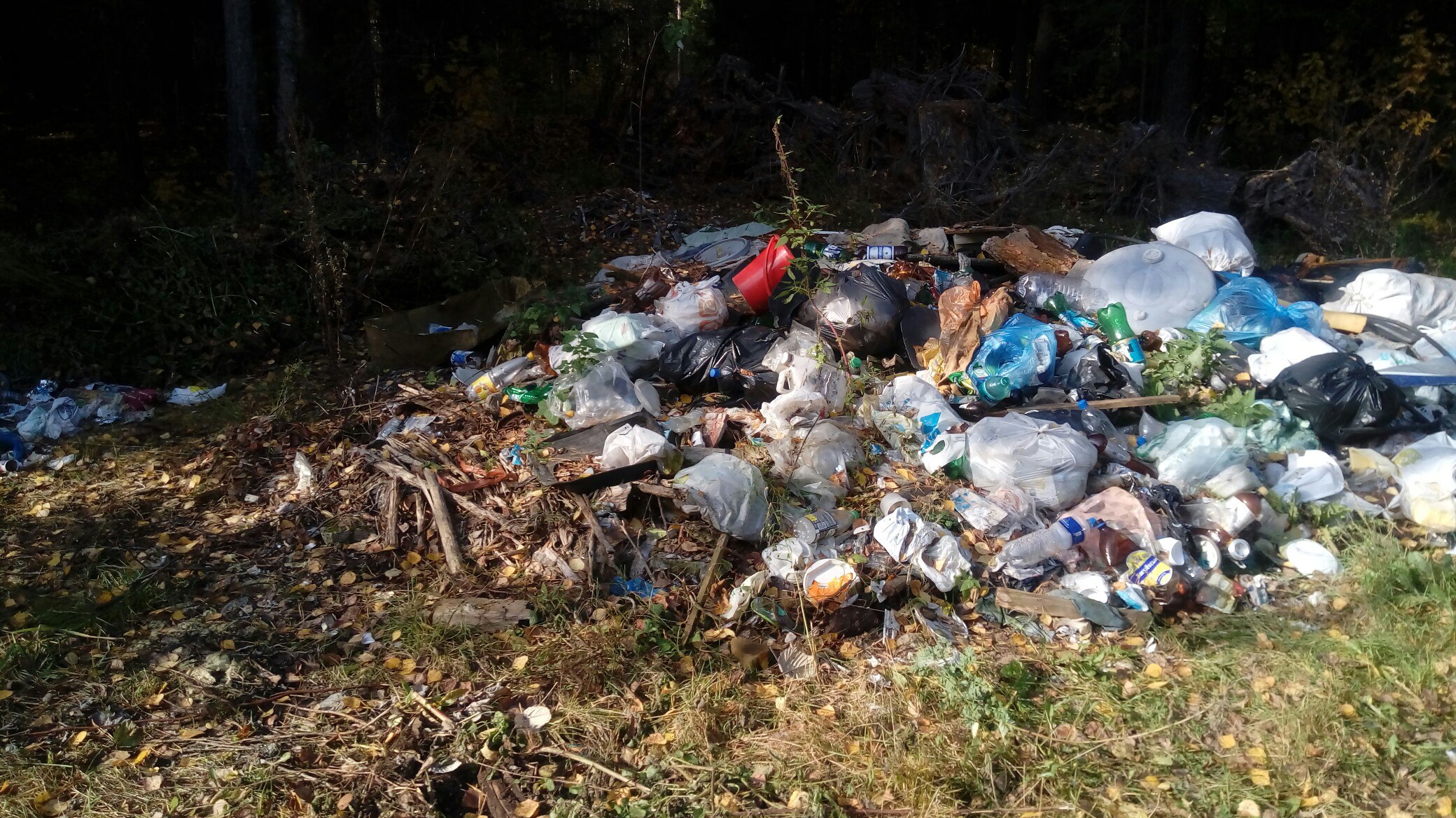 субботник на красной речке, Чайковский, 2017 год