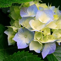 Ирина Кондакова | Пермь