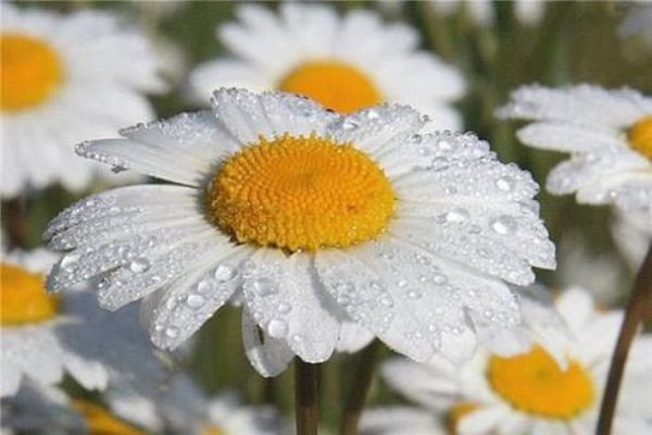 Ольга Малясова, Россия, Новокуйбышевск