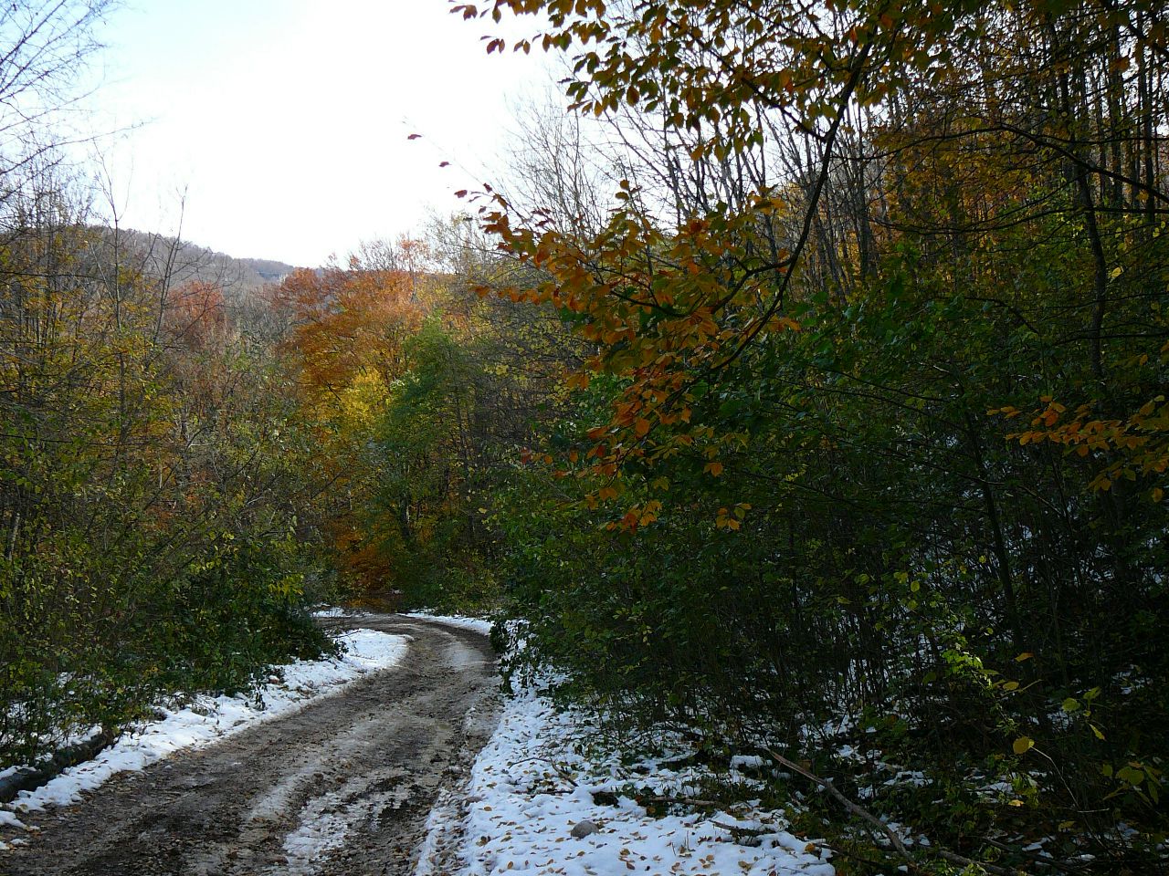 https://pp.userapi.com/c837232/v837232543/665b2/OMVhrZYlyZA.jpg