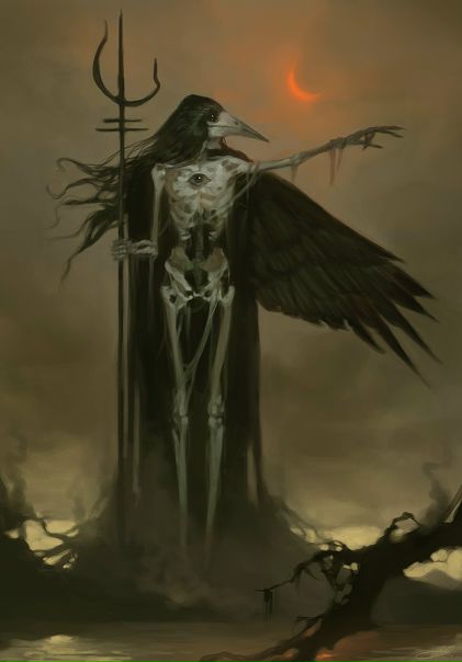 Rook by #JodieMuir