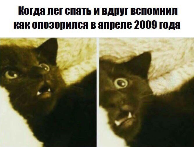thTWwTXbXlY.jpg