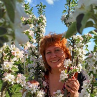 Елена Кривоносова | 