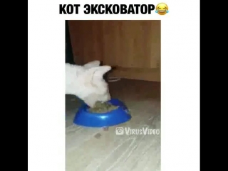 😂😂😂 #вайн #видео #смешно #vine #юмор #прикол #мило #юморист #ржака #приколы #смех #шутка #ржач #мем #LOL #fail #fails #smile #