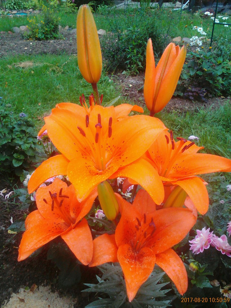 фотография из вКонтакта