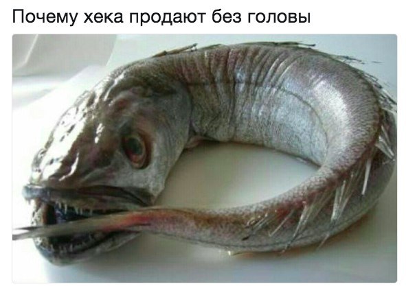 NZE0bs4IF0w.jpg