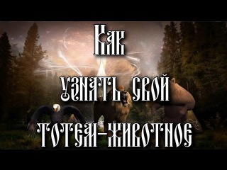 Как узнать свой тотем - животного покровителя (шаманская практика).