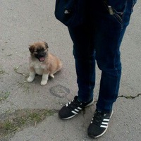 Влад Архипов