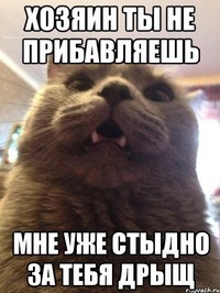 Дмитрий Харьков