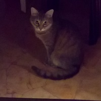 Алексей Вежин