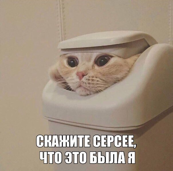 wjZ-5GsE7eg.jpg
