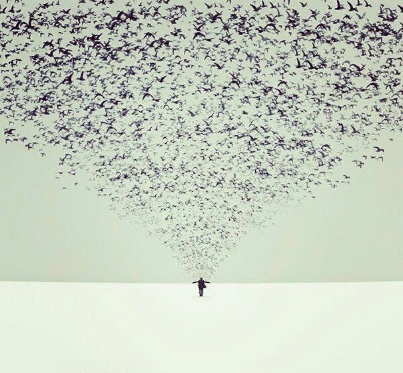 Юлия Соболева