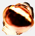 mLutZ1uqNW4.jpg