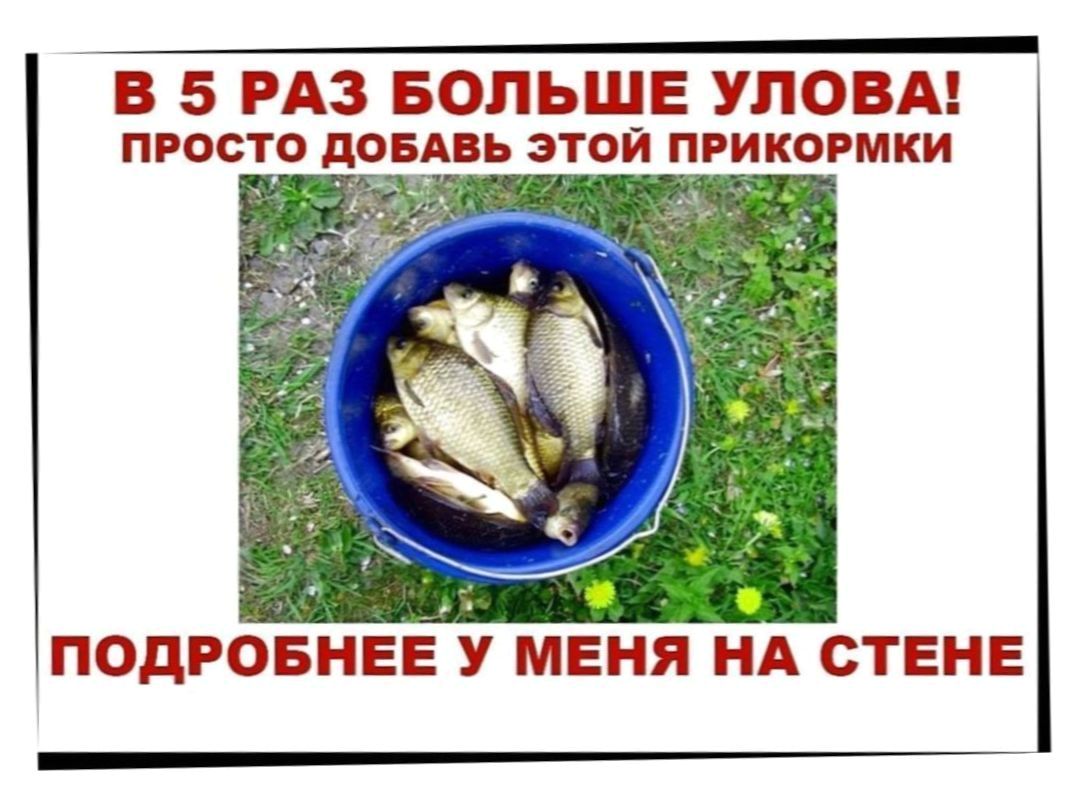Магазин Пескарик Киров
