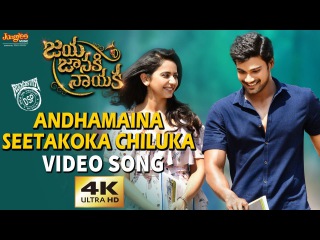 Andhamaina Seetakoka Chiluka Full Video Song | Bellamkonda Sreenivas | Rakul Preet | DSP