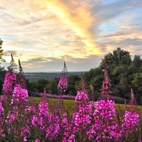 Амрита Меена