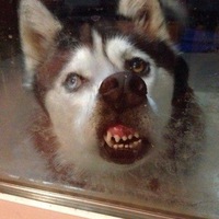 Никита Минаков