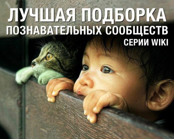 Полезная подборка познавательных сообществ серии WIKI! Выбирайте и подписывайтесь! 