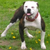 Айзат Мингалеев