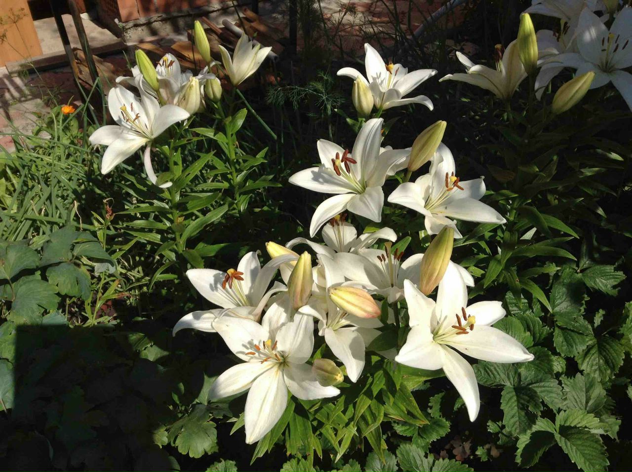 фотография из вКонтакта