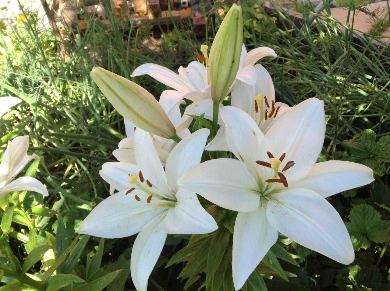 фотография из вКонтакта