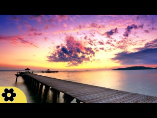 Relaxing Sleep Music, Calm Music, Soft Music, Instrumental Music, Sleep Meditation, 8 Hours, ✿2877C