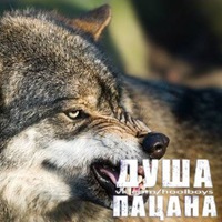 Кирилл Евсеев | Курск