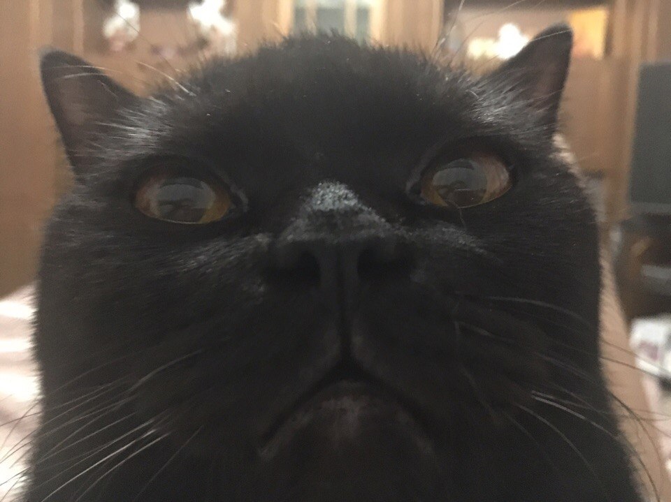 PdeOGHHXo3A.jpg
