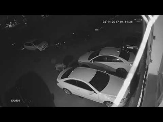 Вандал на Среднеохтинском проспекте