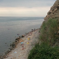 Лариса Шляхтенкова