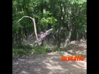 Тройная курва
