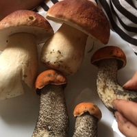 Оксана Васильевна