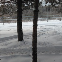 Rustam Mamedov | Калининград