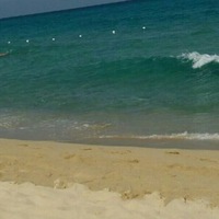 Светлана Лаптевская