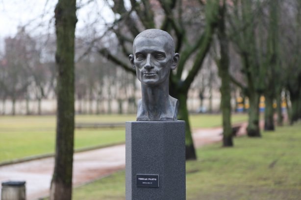 PfZ2fySdXd8.jpg