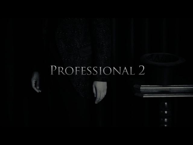 Professional 2 by Kim Hyun Soo