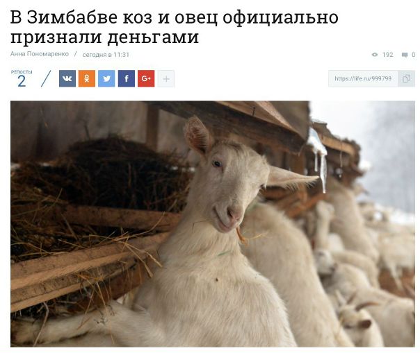 В Дагестане тоже бы нормально пошло