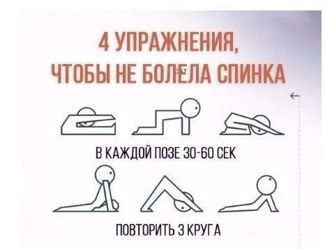 4 лучших упражнения против болей в спине