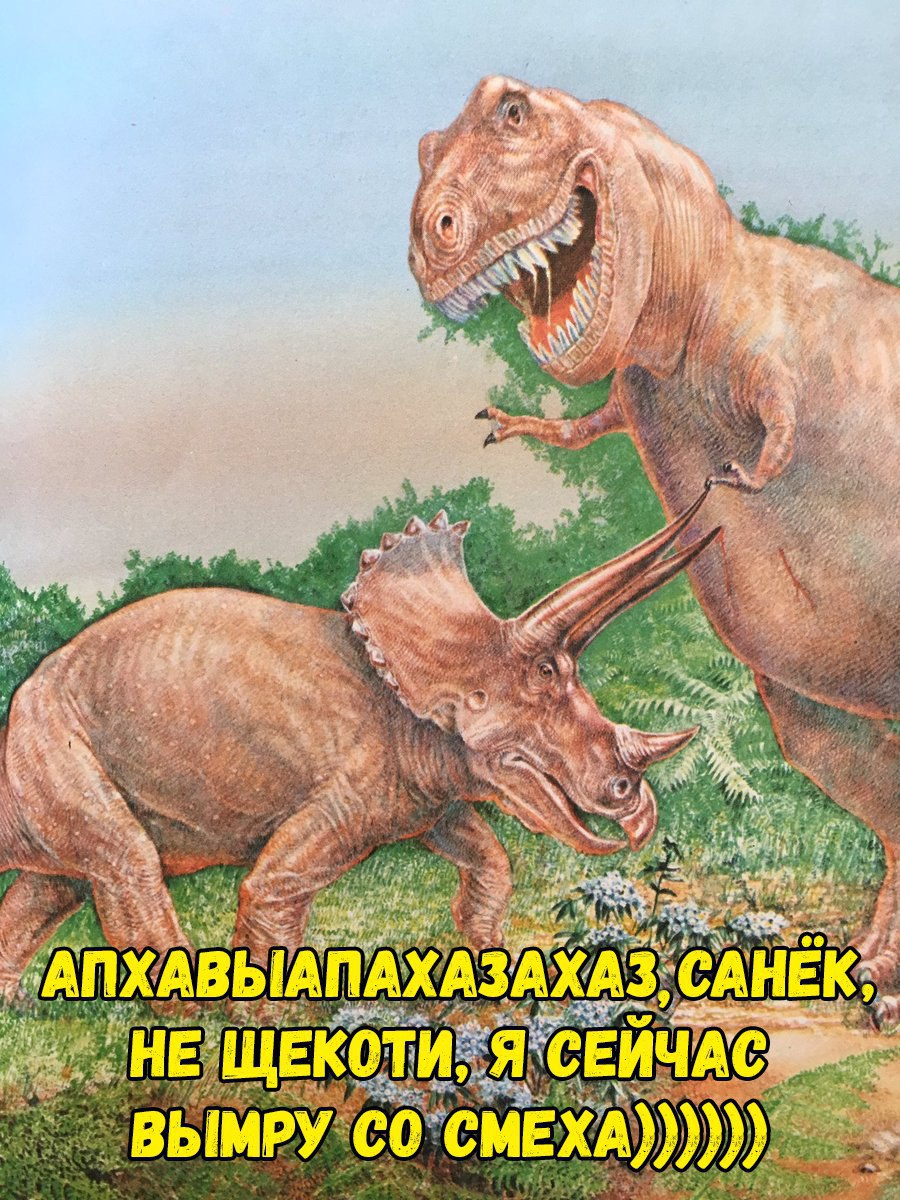 vhbShBM_tWk.jpg