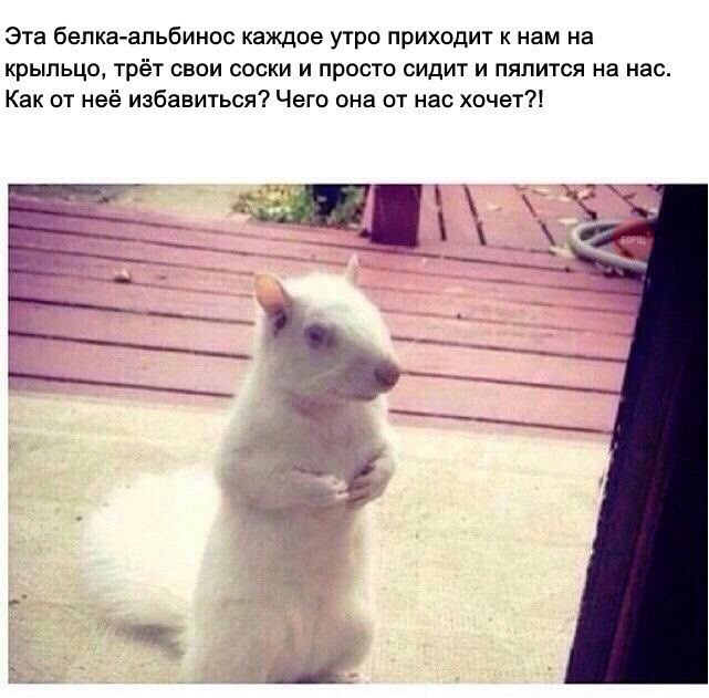 lQVeIg5Yhv0.jpg