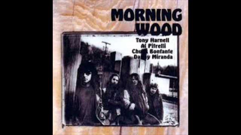 TONY HARNELL MORNING WOOD - SILENCE