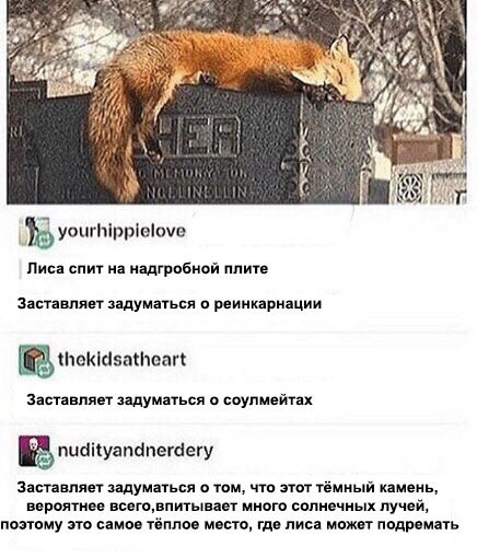 KtL3aay2qVo.jpg