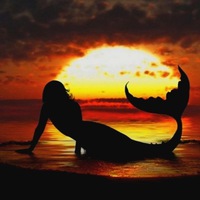 Елена Митина | Санкт-Петербург