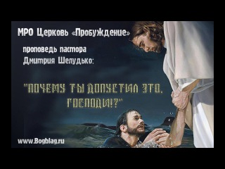 Шелудько Дмитрий -