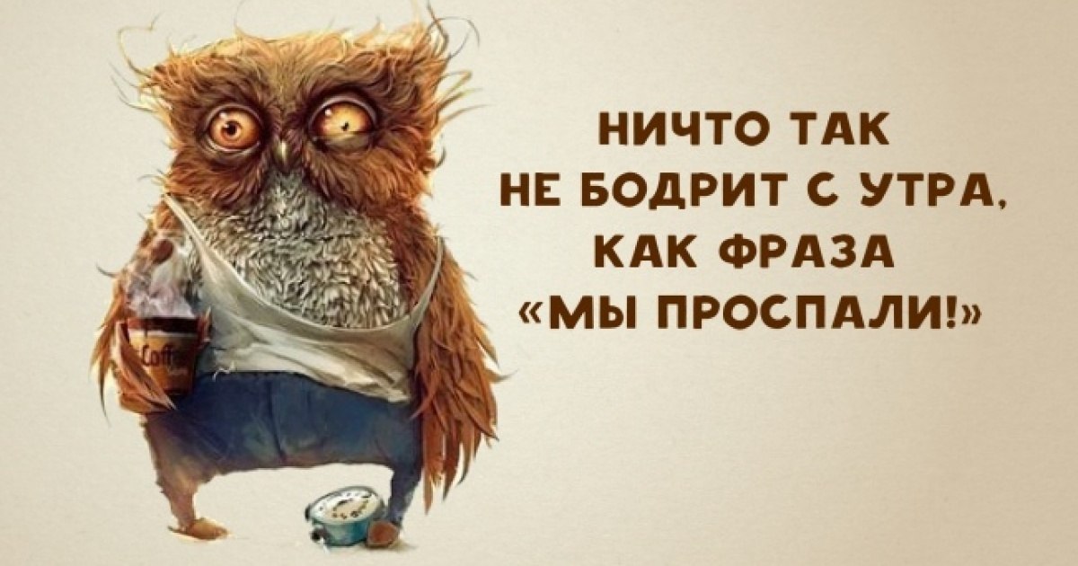 DT1_8sXpGPU.jpg
