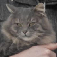 Никита Климачков