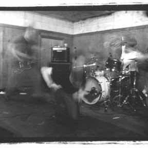 Saetia